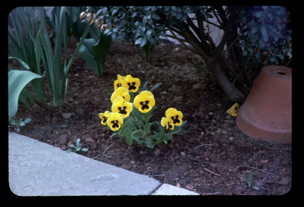 Slide006.jpg